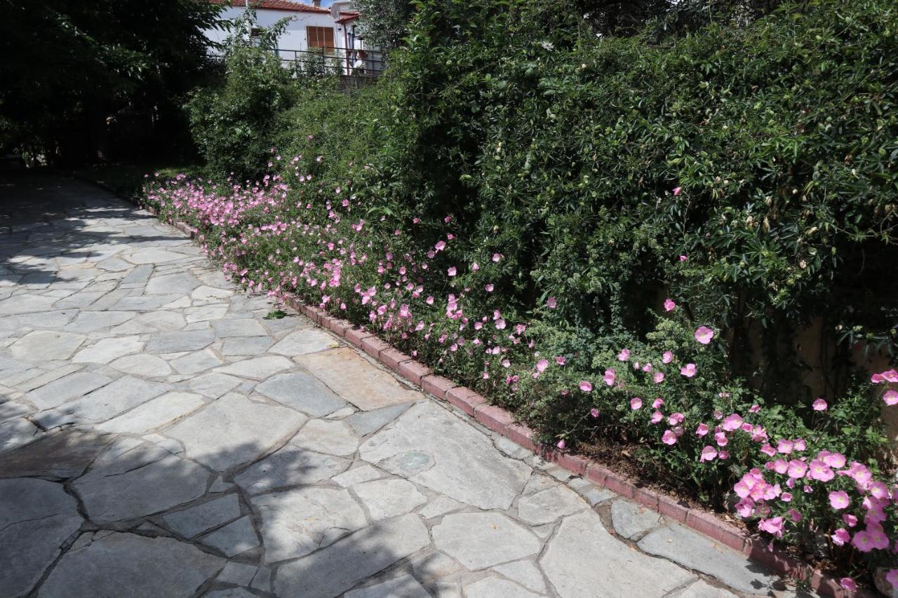 הוילה Agios Andreas  Angela House מראה חיצוני תמונה