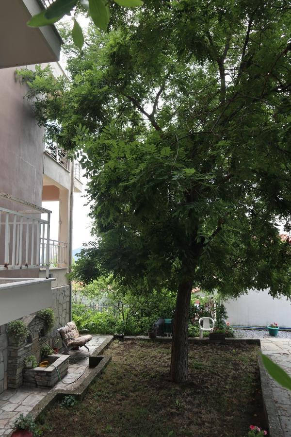 הוילה Agios Andreas  Angela House מראה חיצוני תמונה