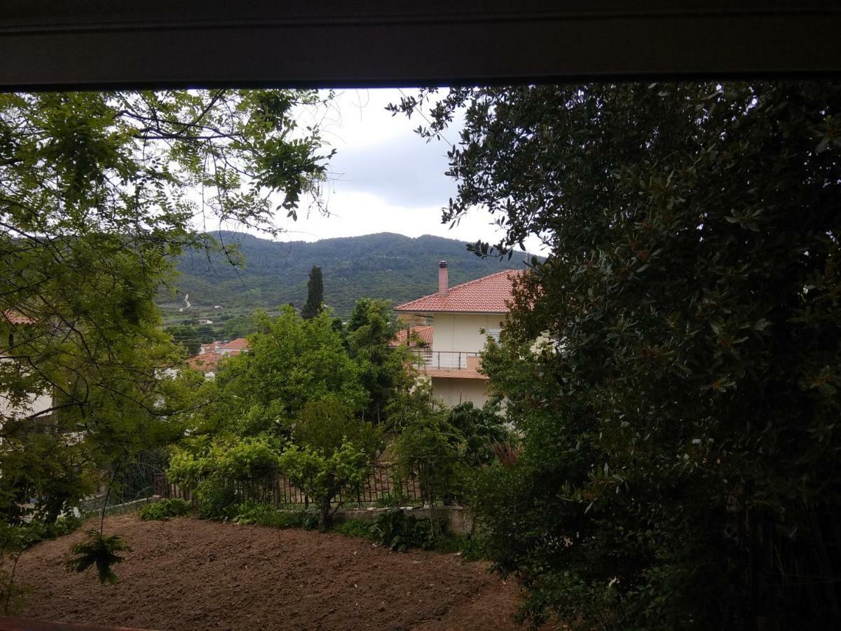 הוילה Agios Andreas  Angela House מראה חיצוני תמונה